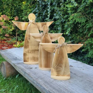 Anděl NaDivoko
